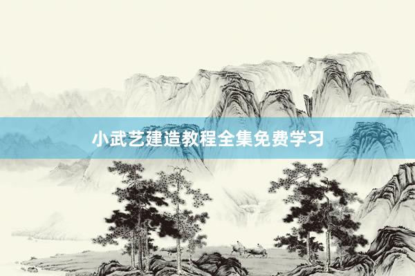 小武艺建造教程全集免费学习