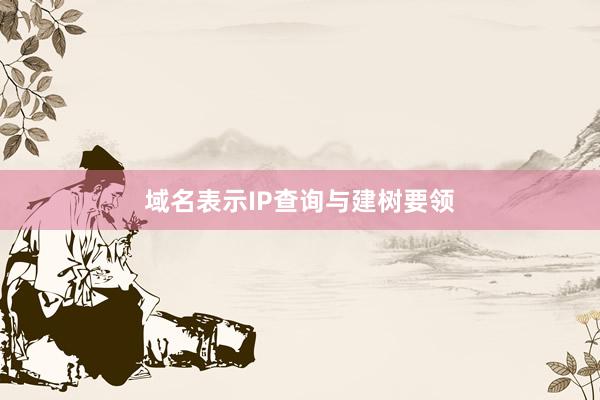 域名表示IP查询与建树要领