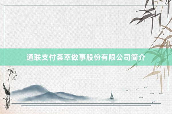通联支付荟萃做事股份有限公司简介
