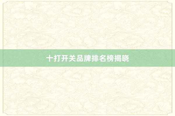 十打开关品牌排名榜揭晓