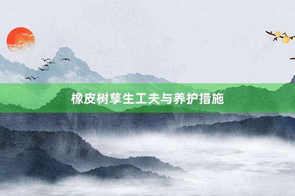 橡皮树孳生工夫与养护措施