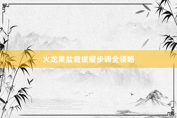 火龙果盆栽拔擢步调全领略