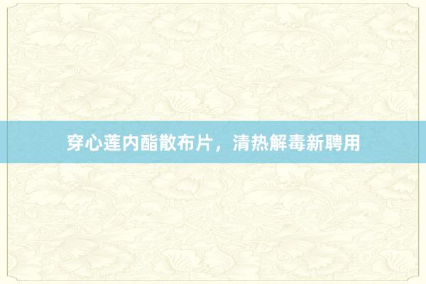 穿心莲内酯散布片，清热解毒新聘用